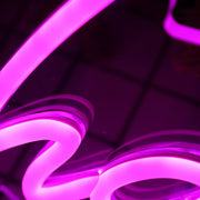 Charlotte Purple Neon Sign