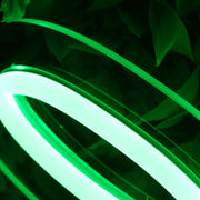 Alex Green Neon Sign