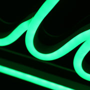 Alily Labs Green Neon Sign