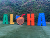 Steel Marquee Letter Aloha High-End Custom Zinc Metal Marquee Light Marquee Sign