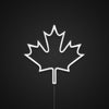 Canada Flag Maple Leaf Neon Sign