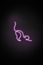 Cat Neon Sign