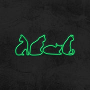 Cats Neon Sign