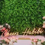 Cheers Habibi Red Neon Sign