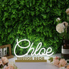 Chloe White Neon Sign