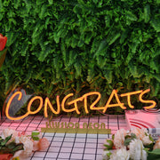 Congrats Oranges Neon Sign