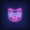 Cute Cartoon Pink Pig Sunglasses Neon Sign