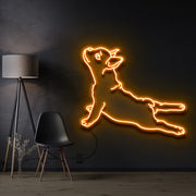 French Bulldog Neon Sign