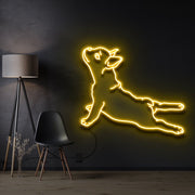 French Bulldog Neon Sign