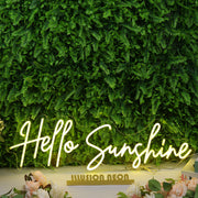 Hello Sunshine Yellow Custom Neon Sign