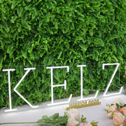 KELZ White Neon Sign