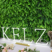 KELZ White Neon Sign