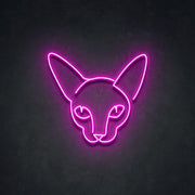 Kitty Neon Sign