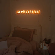 La Vie Est Belle Neon Sign Custom Neon Sign Lights Night Lamp Led Neon Sign Light For Home Party