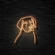 Labrador Neon Sign