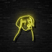 Labrador Neon Sign