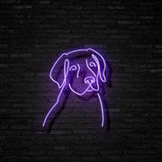 Labrador Neon Sign