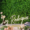 Los Rodrigaez Yellow Neon Sign