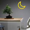 Moon Neon Sign