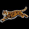 Orange And White Neon Tiger Sign Room Decor