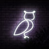 Owl Neon Sign