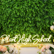 Plant High School Yellow Neon Sign