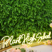 Plant High School Yellow Neon Sign