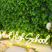 Plant High School Yellow Neon Sign