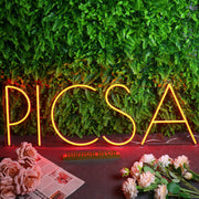 PLCSA Red Neon Sign