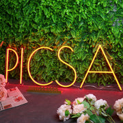 PLCSA Red Neon Sign