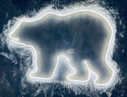 Polar bear Neon Sign