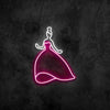 Princess Neon Sign