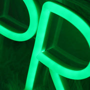 Pronoia Green Neon Sign