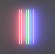 Rainbow Flag Neon Sign