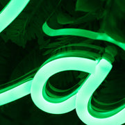 Raynie Green Neon Sign