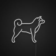 Shiba Inu Silhouette Neon Sign