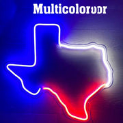 Texas State Neon Sign