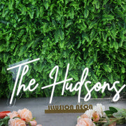 The Hudsons White Neon Sign