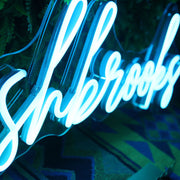 The Lashbaooks Neon Sign