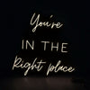 Youre In The Right Place Neon Sign