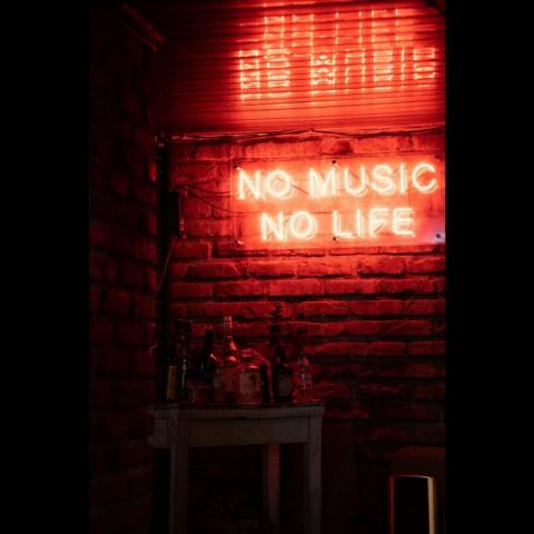 no music no life neon