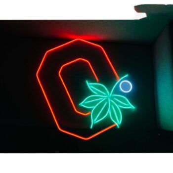 Ohio Neon Sign